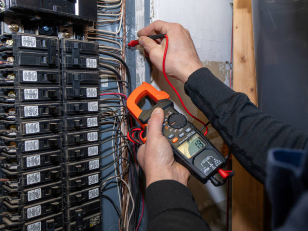 Best Electrician for Home Renovation  in Elkins, WV